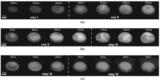 Fig. 2 Infrared images (angle of view 45  ) of the top of a pure iron rod during laser assisted combustion