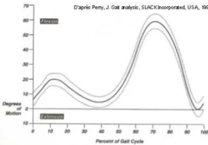 Figure   1:   Cinématique   articulaire   du   genou   lors   du   cycle   de   marche