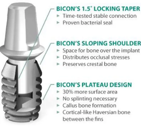 Figure 4 : Implant Bicon à connexion impactée 