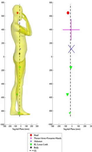 Figure 1. 3d external body shape with different segments’ Com.