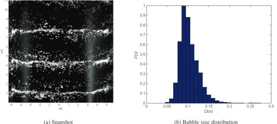 Fig. 2: (a) Snapshot of bubble distribution in toroidal regime (Re = 1500, α = 0.14 %), and (b) corresponding bubble size distribution, where the mean value is 0 