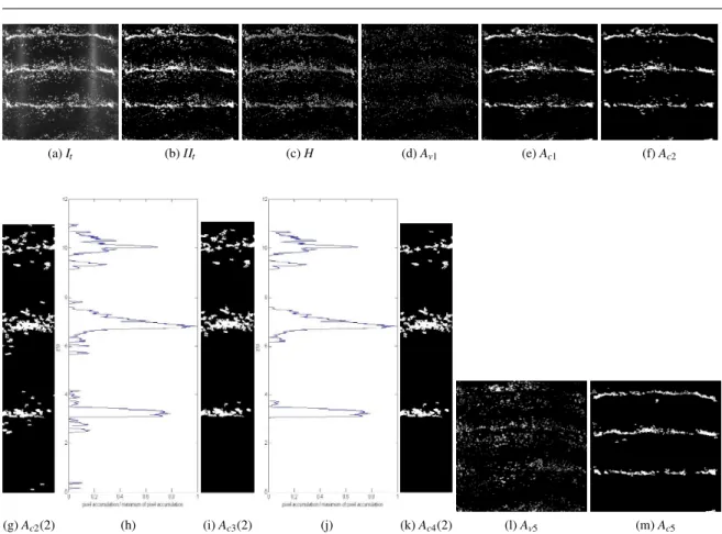Fig. 4: (a) raw image at a time step t (I t ), (b) binalized image with removing background image (II t ) of I t 