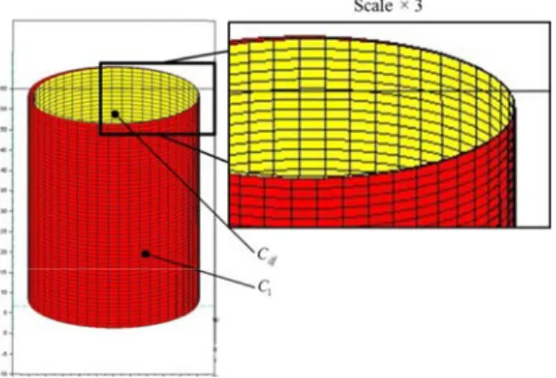 Fig. 4. Perfect cylinder  C 1  and displacement of the difference surface  C df  after optimization  