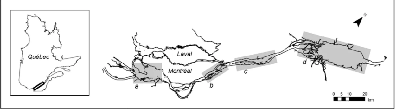 Figure  2.  Localisation  de  l’aire  d’étude  (fleuve  Saint-Laurent,  Québec)  et  des  secteurs  faisant  l’objet  d’une  attention  particulière dans ce travail sur l’invasion des milieux humides par le roseau commun : le lac Saint-Louis (a), les îles 