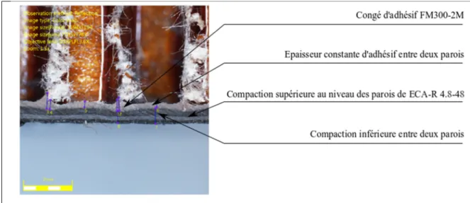 Figure 3.8 Observation au microscope d'une éprouvette de Zone IV (Z + )  3.2.3.2  Compaction entre deux parois en fonction de la zone 