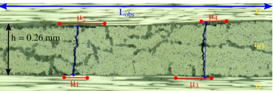 Figure 2. Measurement of the crack density ρ and average delamination at crack tip µ in a [0 2 /90/0 2 ] lay-up