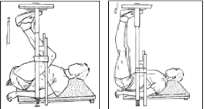 Figure 12 : Leg Press Travail en chaîne cinétique fermée des muscles des membres inférieurs 