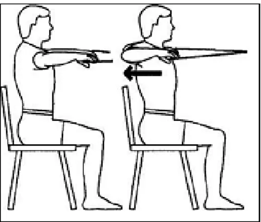 Figure  13 :  Travail  avec  un  élastique  des  rhomboïdes  de  l’épaule  (en  concentrique  en  allongeant l’élastique, en excentrique en freinant son retour à la position de repos) 