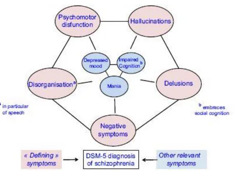 Figure 1 : Les symptômes négatifs comme l'un des cinq axes de diagnostic de la schizophrénie  dans le DSM-5 (Millan et al., 2014) 