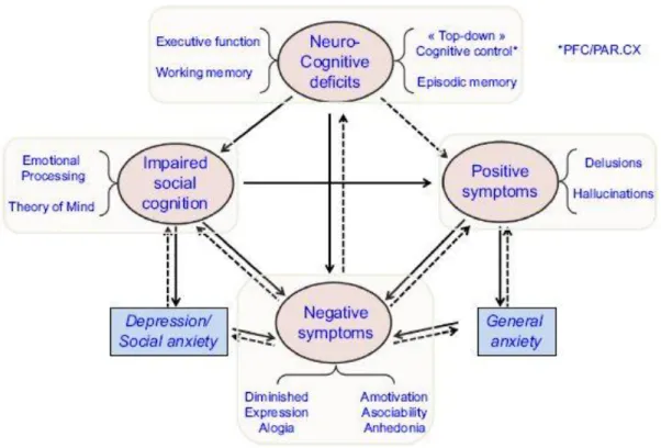 Figure 4 :  La « boussole » de la  schizophrénie :  corrélation  entre les symptômes  négatifs  et  d'autres aspects fondamentaux de la maladie (Millan, 2014) 