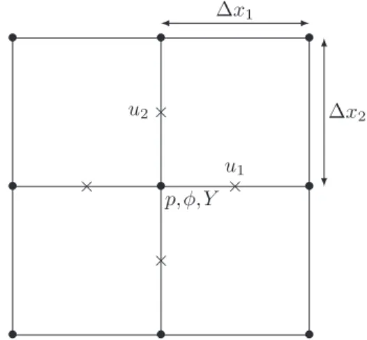 Fig. 5.1: Staggered grid with position of unknowns.