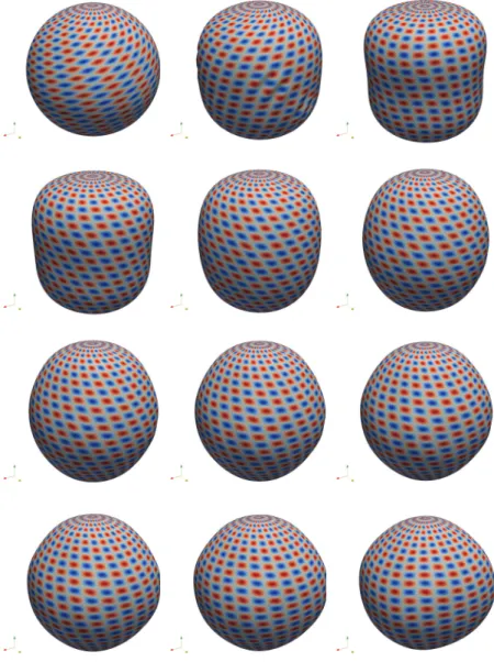 Fig. 5.2: Numerical simulation of the relaxation of a sphere due to shear force at times t = 0 , 0 
