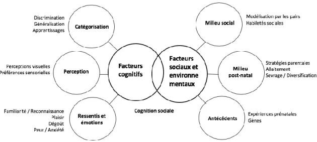 Figure 1: facteurs impliqués dans la néophobie alimentaire (adapté et traduit de Lafraire et al ( 2016)) 