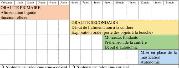 Tableau 1: développement de l'oralité (tableau adapté de &#34;Boite à idées pour oralité malmenée&#34; -(Véronique Leblanc et al., 2012)) 