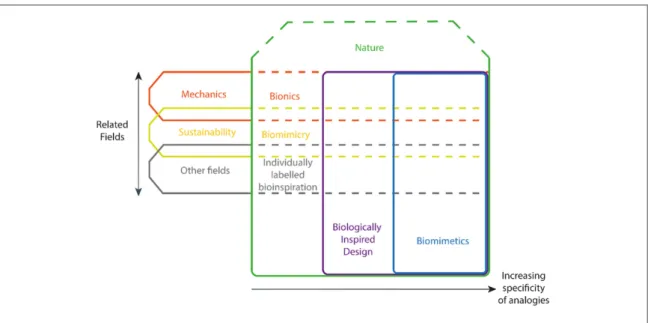 Figure 1. The ﬁ eld of bioinspiration.