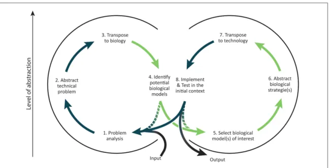 Figure 3. The uni ﬁ ed problem-driven process of biomimetics.