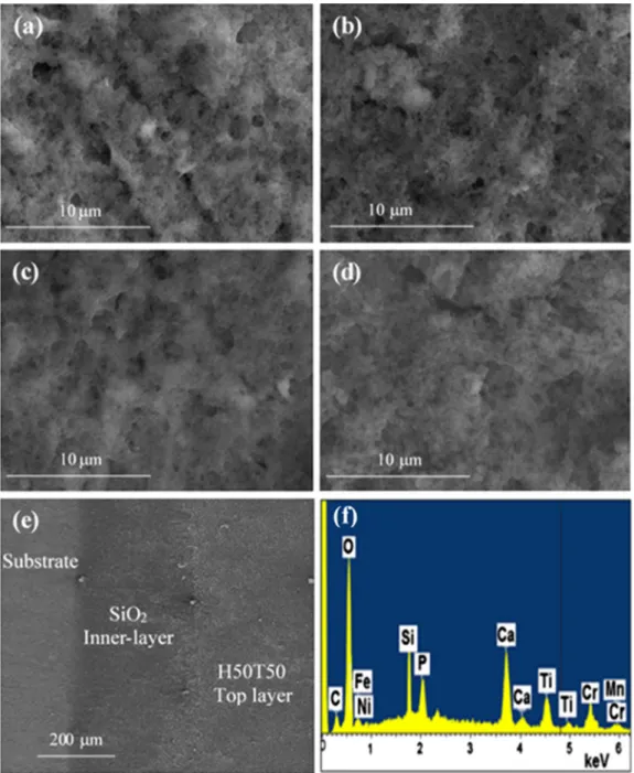 Table II. Structural Parameters of the Uncoated and Coated 316L SS