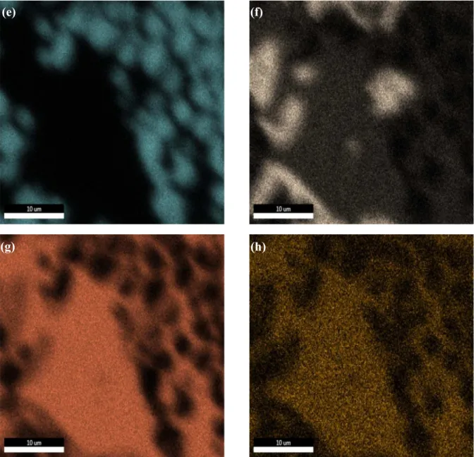 Fig. 10 EDS mapping of C (c), Mo (d), Ti (e), Cr, Fe (g) and Ni (h) of FC3 sample. (a) and (b) are  the micrograph and the global mapping 