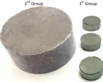 Fig. 4 Photograph of the green compact before sintering 