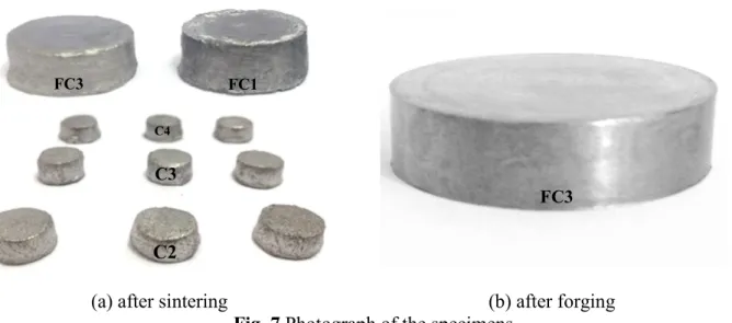 Fig.  8  presents  the  Scanning  Electron  Microscopy  (SEM)  micrographs  of  C0,  C1,  C2  and  C3  samples (the first group)