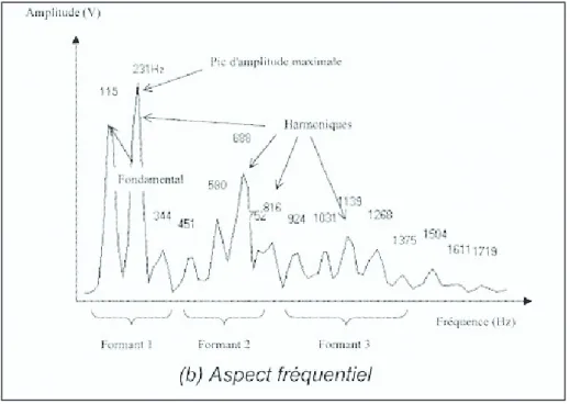 Figure 8 - Représentation fréquentielle - A. Menin-Sicard et E.Sicard, VOCALAB, de la théorie à la  pratique, p.33 