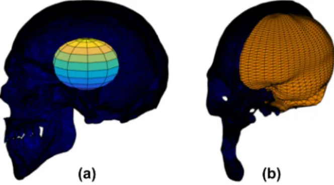 Table 1.  iCV (l) calculated according to the number of nodes of  the ellipsoid for the twelve skulls