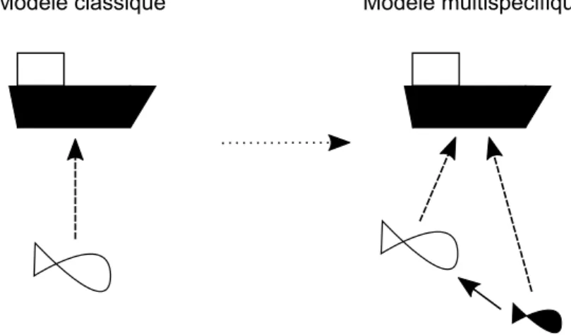 Figure  1:   Comparaison   entre   le   modèle   classique   de   gestion   des   pêches   et   le   modèle multispécifique
