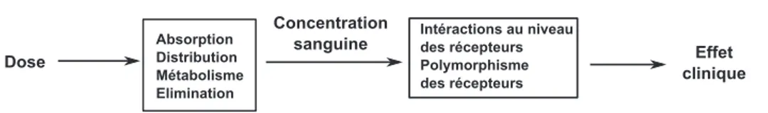 Figure 1.3 – Schéma de certaines sources de variabilité dans les relations PK/PD.