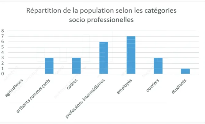 Figure 5 : Répartition des participants selon les catégories socio professionnelles  