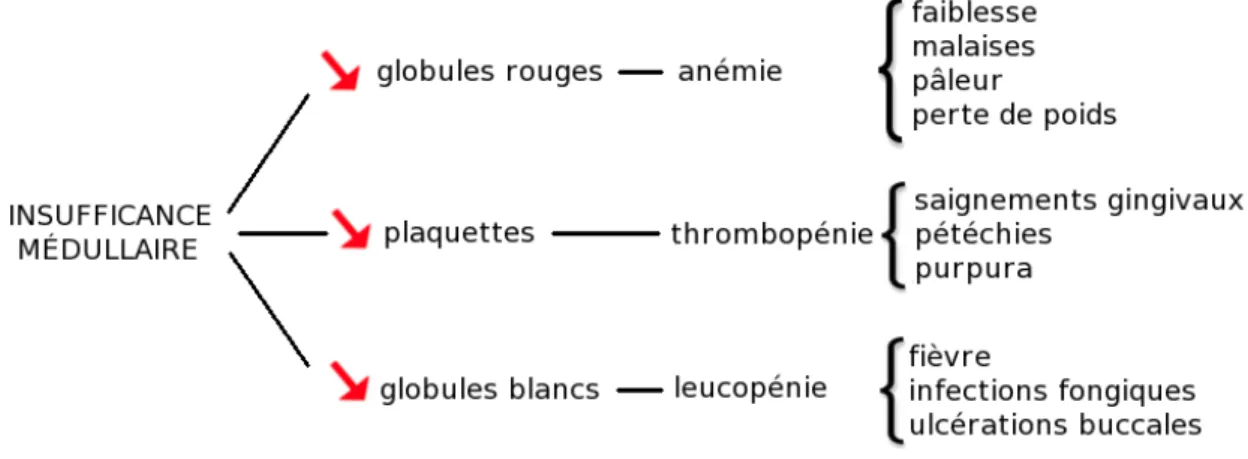 Figure   11:   Symptômes   liés   à   l’insuffisance   médullaire   