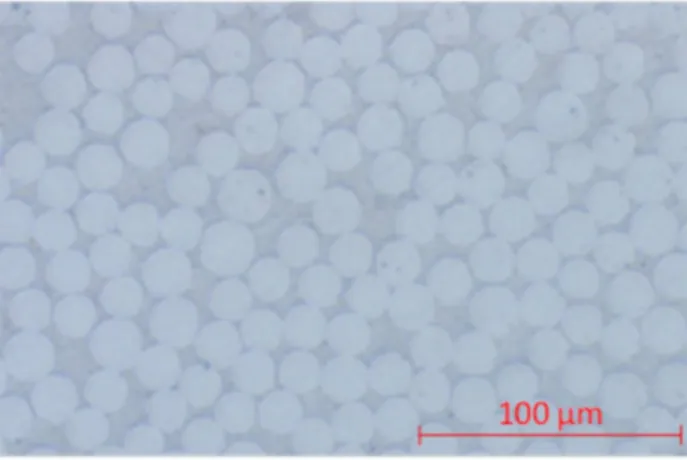 Figure 1. Examination by optical microscopy of a surface cut in the radial direction of the composite container