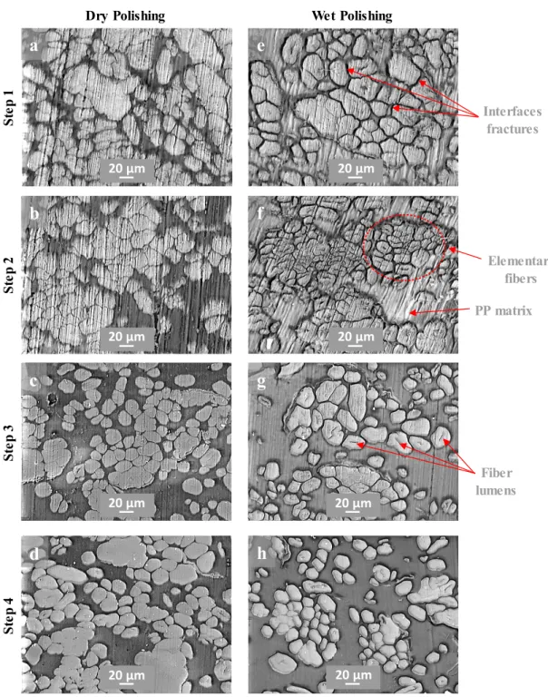 Fig. 3  shows typical microscopic surfaces  state  after each polishing step. The only difference between  the micrographs from  step  1 and step 2 is the  increasing of polishing streaks