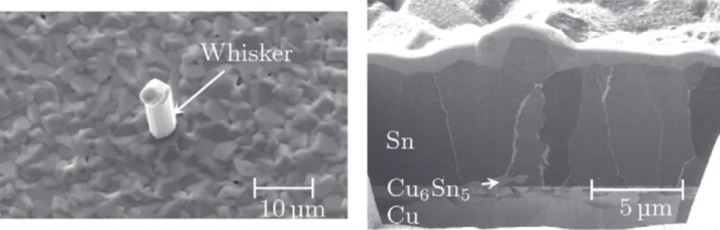 Fig. 1. Left: SEM image of the tin whisker selected for the microdiffraction measurements
