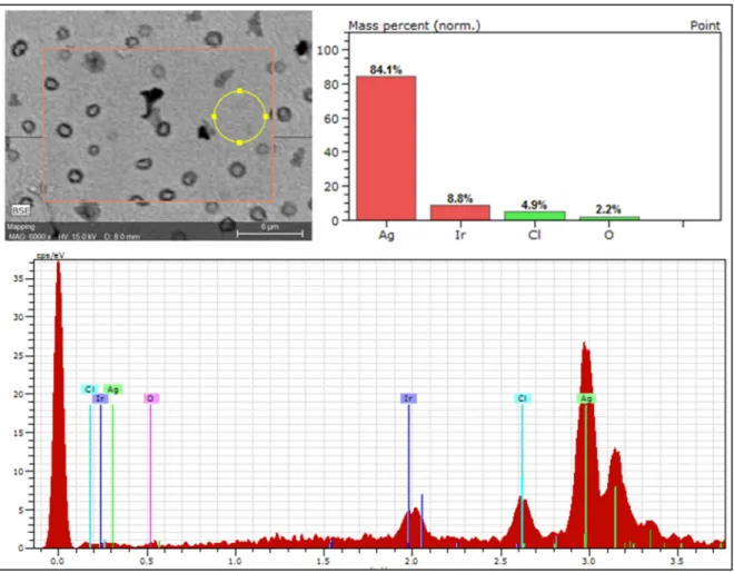Figure 2.3 shows the results of a Scanning Electron Microscopy (SEM) and Energy Dispersive  Spectroscopy (EDS)