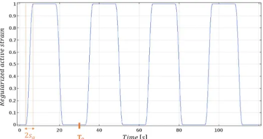 Figure 3: Graphical representation of the regularized active strain during four cycles of 30 s each