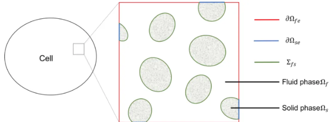 Figure 1: Illustration of the poroelastic system