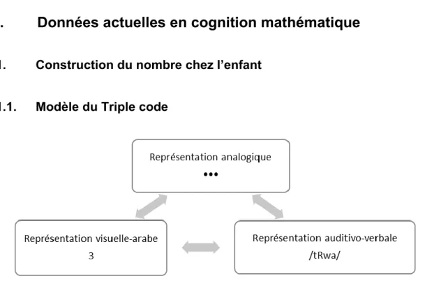 Figure 1 Modèle du Triple code (Dehaene, 1992 ; Wilson &amp; Dehaene, 2007) 