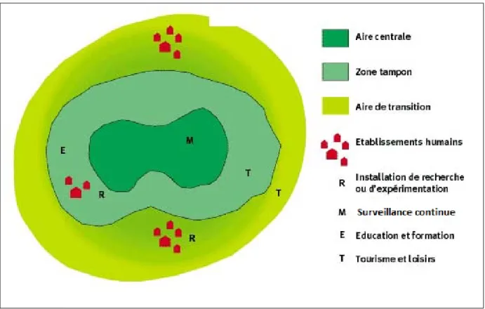 Figure 1.1 – Exemple d’un zonage schématique d’une aire protégée (Mengue-Medou, 2002)
