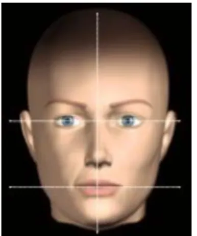 Figure 9 : Analyse du visage de face 