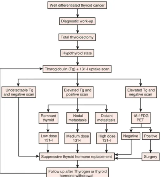 Figure 6 : Algorithme simplifié de la prise en charge thérapeutique des cancers de  la  thyroïde de souche folliculaire