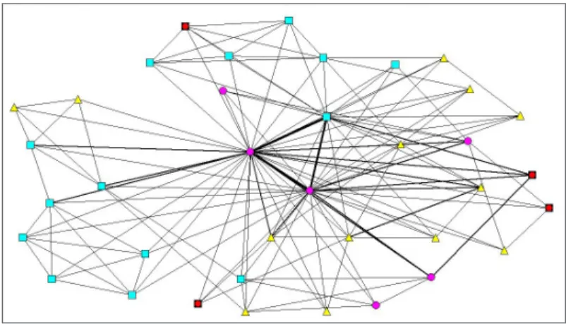 Figure 1. Représentation du réseau de copublications de l’équipe SYLVADOUR à Mont-de-Marsan