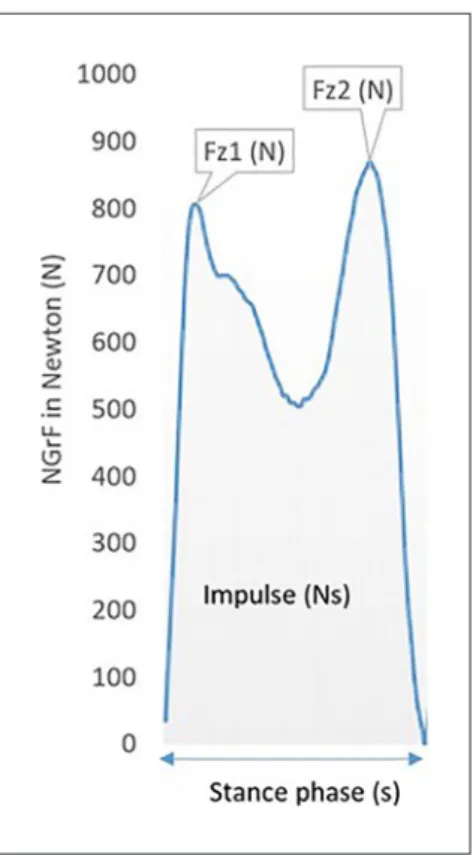 Figure 1.  Typical NGrF curve with specific parameters  indicated.