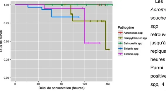 Figure 4: Courbes de survie des souches étudiées lors des  repiquages après différents délais de conservation (n = 87).