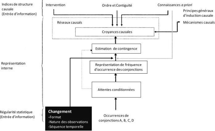 Figure 1. Architecture générale du raisonnement causal selon le modèle de Perales et  Catena (tiré de Perales &amp; Catena, 2006), avec l’ajout théorique que la présente thèse vise à  apporter