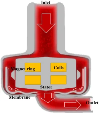 Figure  1.  Commercial  schematics  of  the  pump.  Flow  direction  is  indicated by red arrows 