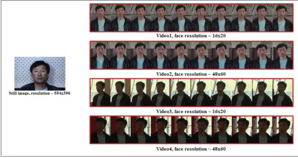 Figure 2.4 An example of a still image belonging to one subject and corresponding four video sequences in the COX-S2V.