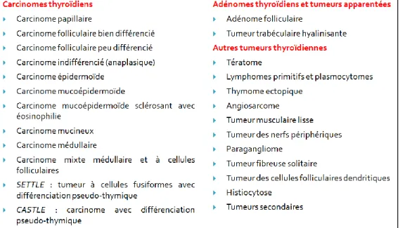 Figure 6 : Classification OMS 2004 des tumeurs thyroïdiennes (traduite d’après l’OMS 5 )  Les  tumeurs  bénignes  (adénomes  et  tumeurs  apparentées)  sont  fréquentes  alors  que  les  carcinomes, bien que relativement rares, représentent les tumeurs mal