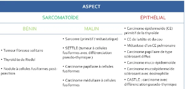 Figure 16 : Tableau des principaux diagnostics différentiels des CAT en pathologie 