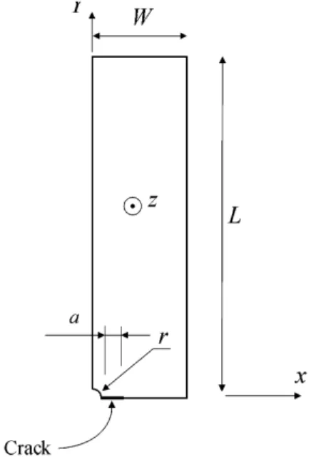 Fig. 5. Geometry of the quarter model of the CCT specimen.