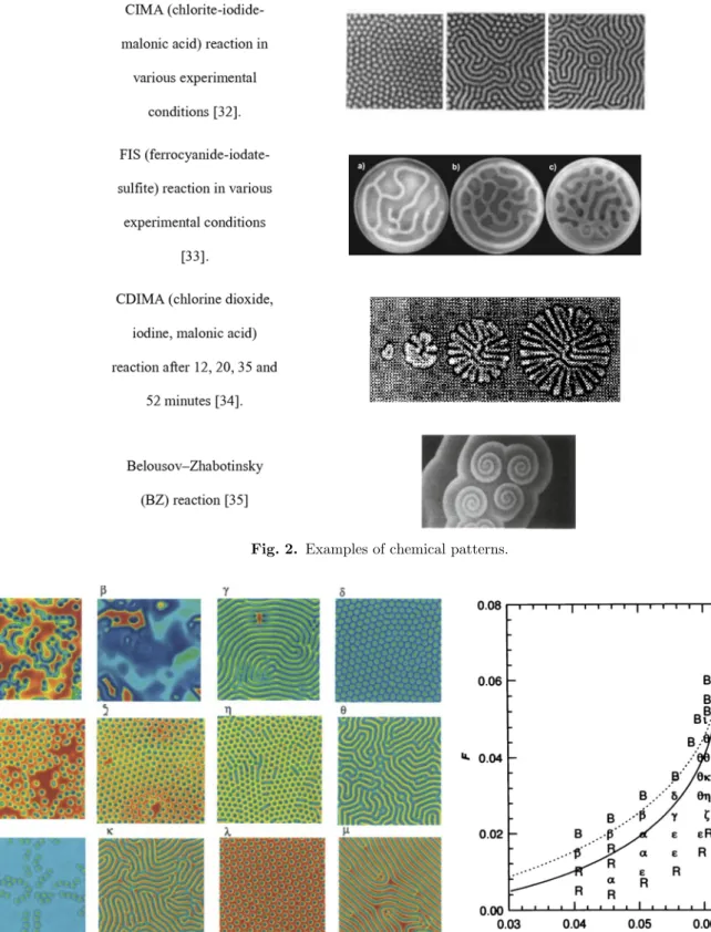 Fig. 2. Examples of chemical patterns.